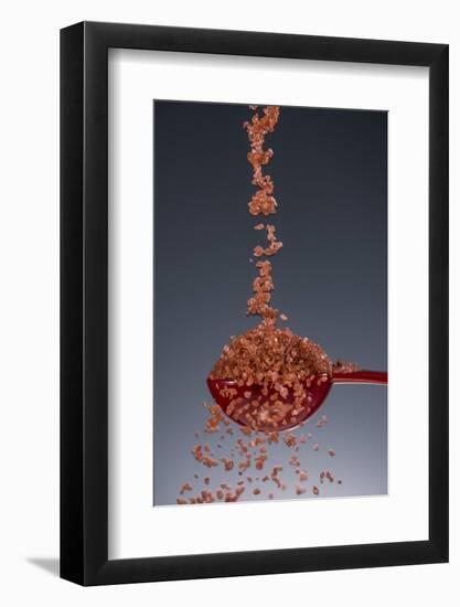 1 Tablespoon Red Gold Hawaii Sea Salt-Steve Gadomski-Framed Photographic Print