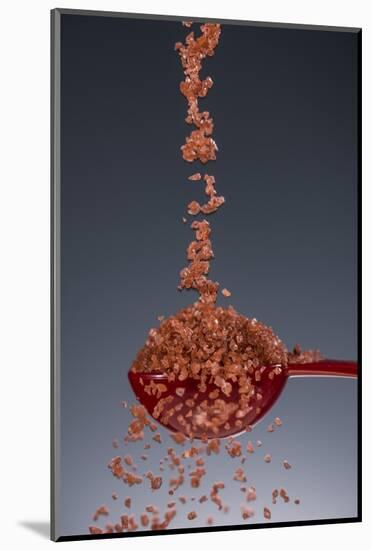 1 Tablespoon Red Gold Hawaii Sea Salt-Steve Gadomski-Mounted Photographic Print