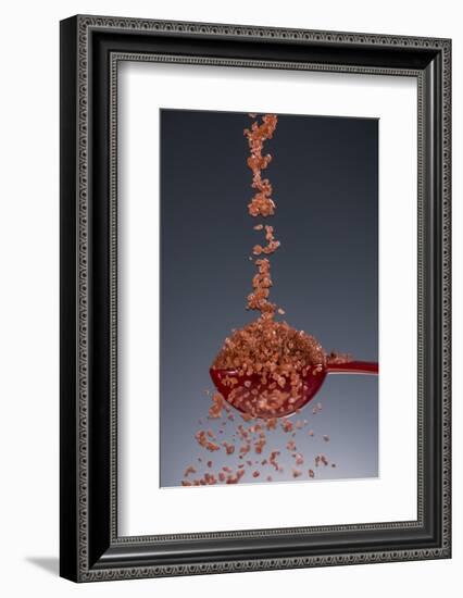 1 Tablespoon Red Gold Hawaii Sea Salt-Steve Gadomski-Framed Photographic Print