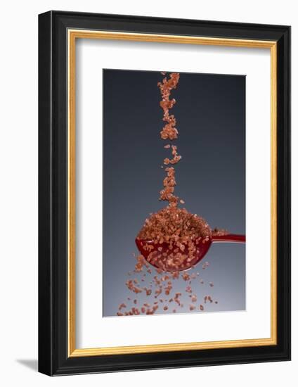 1 Tablespoon Red Gold Hawaii Sea Salt-Steve Gadomski-Framed Photographic Print