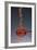 1 Tablespoon Red Gold Hawaii Sea Salt-Steve Gadomski-Framed Photographic Print