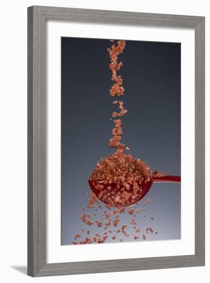 1 Tablespoon Red Gold Hawaii Sea Salt-Steve Gadomski-Framed Photographic Print