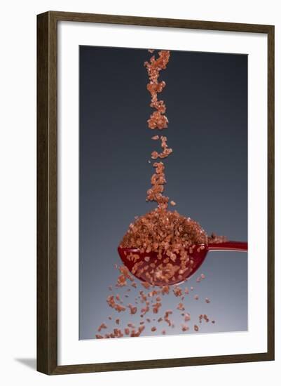 1 Tablespoon Red Gold Hawaii Sea Salt-Steve Gadomski-Framed Photographic Print
