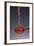 1 Tablespoon Red Gold Hawaii Sea Salt-Steve Gadomski-Framed Photographic Print