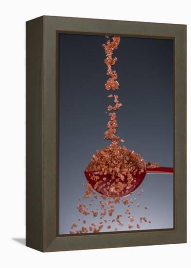 1 Tablespoon Red Gold Hawaii Sea Salt-Steve Gadomski-Framed Premier Image Canvas