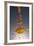 1 Tablespoon Red Pepper Flakes-Steve Gadomski-Framed Photographic Print