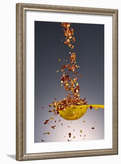 1 Tablespoon Red Pepper Flakes-Steve Gadomski-Framed Photographic Print