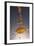 1 Tablespoon Red Pepper Flakes-Steve Gadomski-Framed Photographic Print