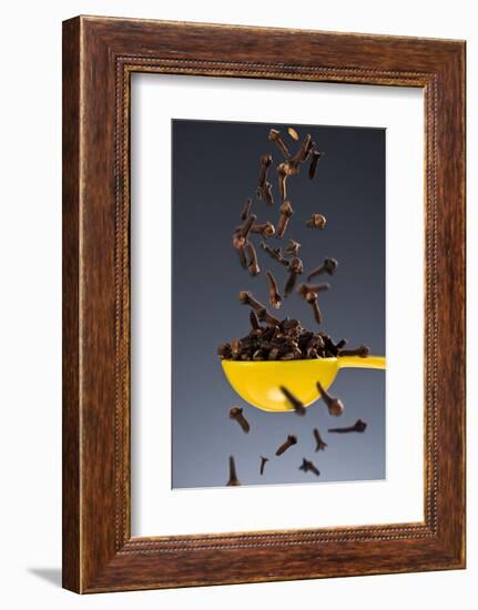 1 Tablespoon Whole Clove-Steve Gadomski-Framed Photographic Print