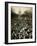 10,000 Unemployed Hunger Marchers to the Jammed the Streets Near the Capitol on Jan 7, 1932-null-Framed Photo