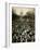 10,000 Unemployed Hunger Marchers to the Jammed the Streets Near the Capitol on Jan 7, 1932-null-Framed Photo