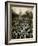 10,000 Unemployed Hunger Marchers to the Jammed the Streets Near the Capitol on Jan 7, 1932-null-Framed Photo