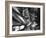 10-Day Sailing Cruise-Michael Rougier-Framed Photographic Print