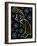 10 New York 6-Pierre Henri Matisse-Framed Giclee Print