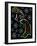 10 New York 6-Pierre Henri Matisse-Framed Giclee Print