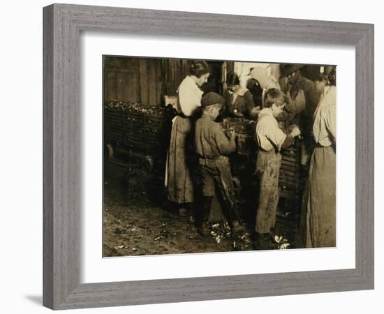 10 Year Old Jimmie Who Has Been Shucking 3 Years with an 11 Year Old Boy Who Shucks 7 Pots-Lewis Wickes Hine-Framed Photographic Print