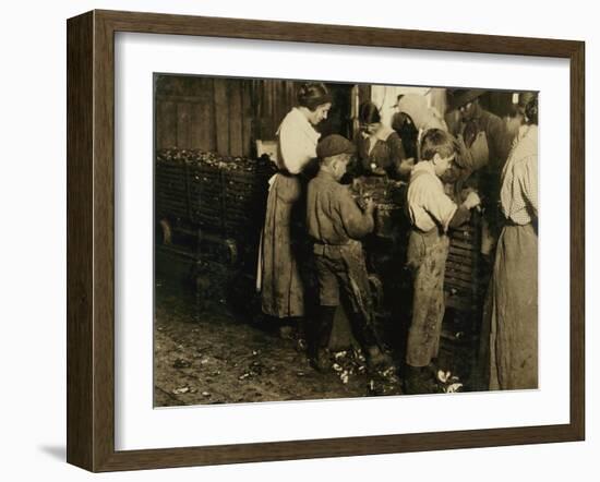 10 Year Old Jimmie Who Has Been Shucking 3 Years with an 11 Year Old Boy Who Shucks 7 Pots-Lewis Wickes Hine-Framed Photographic Print