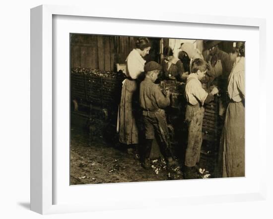 10 Year Old Jimmie Who Has Been Shucking 3 Years with an 11 Year Old Boy Who Shucks 7 Pots-Lewis Wickes Hine-Framed Photographic Print
