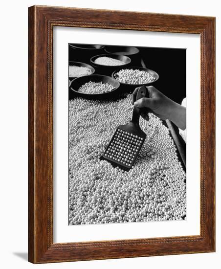 100 Pearls Being Counted at a Time Using Device at Factory-Alfred Eisenstaedt-Framed Photographic Print