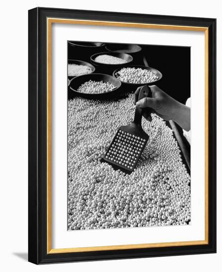 100 Pearls Being Counted at a Time Using Device at Factory-Alfred Eisenstaedt-Framed Photographic Print