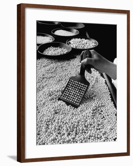 100 Pearls Being Counted at a Time Using Device at Factory-Alfred Eisenstaedt-Framed Photographic Print