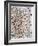 100 Pennies II-Natalie Avondet-Framed Art Print