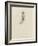 1001. Larva of Annelid, Aug. 1. 1854-Philip Henry Gosse-Framed Giclee Print