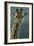 1031 Giraffe Beauty-Jeremy Paul-Framed Giclee Print