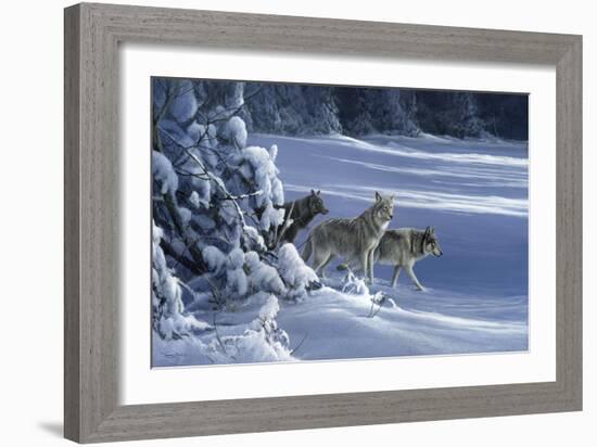 1062 The Strength Of The Wolf Is The Pack Yellowstone Wolves-Jeremy Paul-Framed Giclee Print