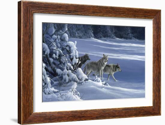 1062 The Strength Of The Wolf Is The Pack Yellowstone Wolves-Jeremy Paul-Framed Giclee Print