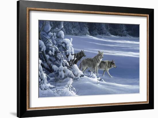 1062 The Strength Of The Wolf Is The Pack Yellowstone Wolves-Jeremy Paul-Framed Giclee Print