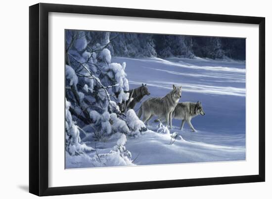 1062 The Strength Of The Wolf Is The Pack Yellowstone Wolves-Jeremy Paul-Framed Giclee Print