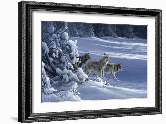 1062 The Strength Of The Wolf Is The Pack Yellowstone Wolves-Jeremy Paul-Framed Giclee Print