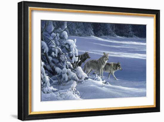 1062 The Strength Of The Wolf Is The Pack Yellowstone Wolves-Jeremy Paul-Framed Giclee Print