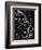 10-Pierre Henri Matisse-Framed Giclee Print