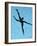 10CO-Pierre Henri Matisse-Framed Giclee Print