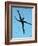 10CO-Pierre Henri Matisse-Framed Giclee Print