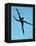 10CO-Pierre Henri Matisse-Framed Premier Image Canvas