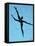 10CO-Pierre Henri Matisse-Framed Premier Image Canvas