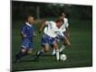 Photographic Print
