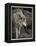 1135 Zoo Animals B&W-Gordon Semmens-Framed Premier Image Canvas