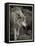 1135 Zoo Animals B&W-Gordon Semmens-Framed Premier Image Canvas