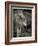 1135 Zoo Animals B&W-Gordon Semmens-Framed Photographic Print