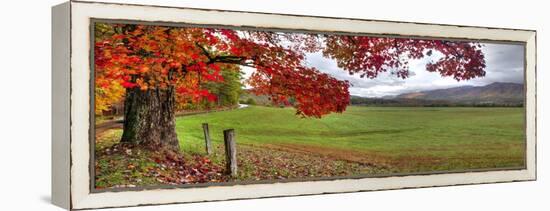 1157-Doug Cavanah-Framed Premier Image Canvas