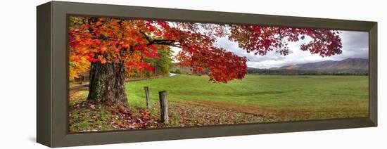 1157-Doug Cavanah-Framed Premier Image Canvas