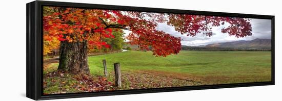 1157-Doug Cavanah-Framed Premier Image Canvas