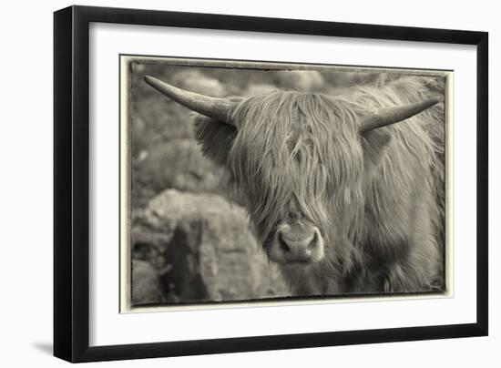 1161 Zoo Animals B&W-Gordon Semmens-Framed Photographic Print