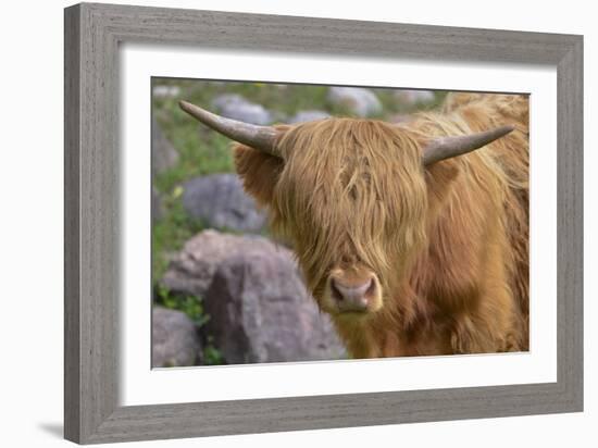 1161 Zoo Animals-Gordon Semmens-Framed Photographic Print