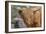 1161 Zoo Animals-Gordon Semmens-Framed Photographic Print