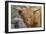 1161 Zoo Animals-Gordon Semmens-Framed Photographic Print